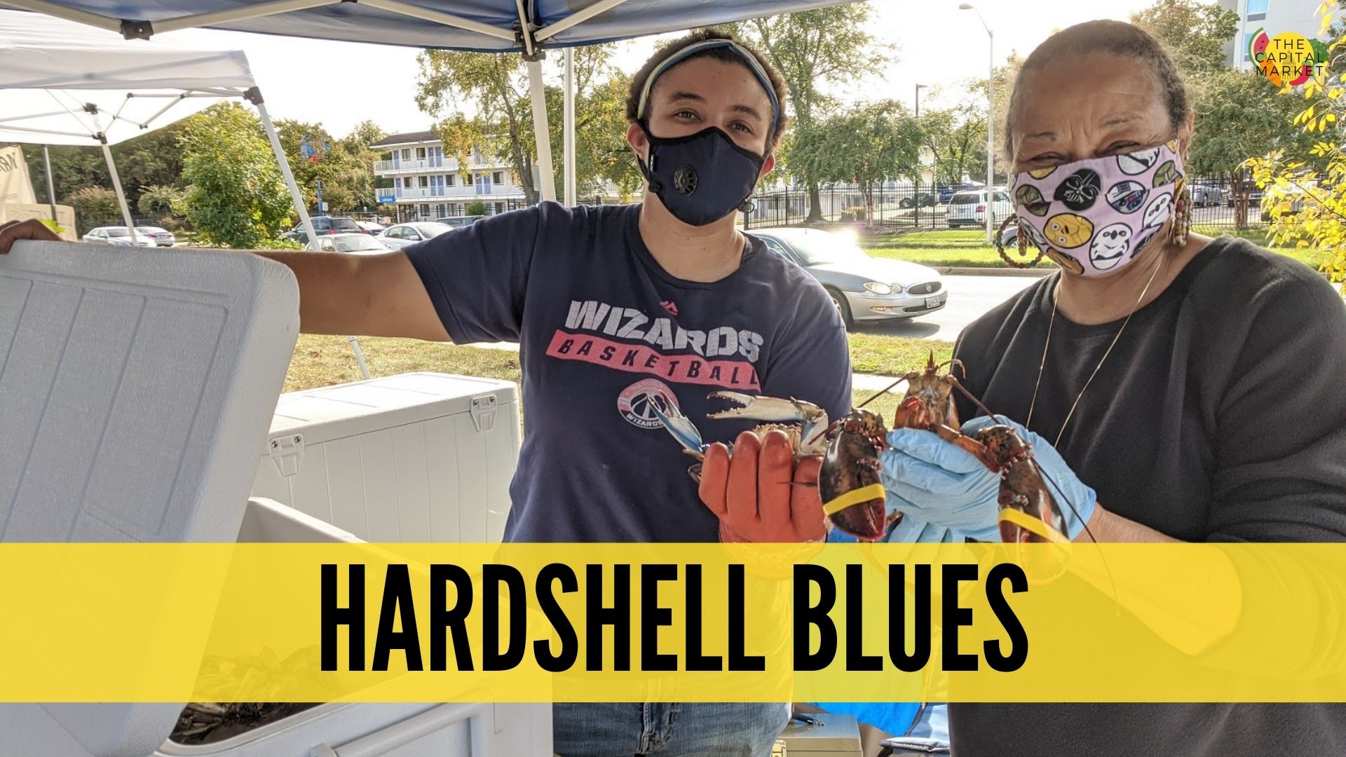 Business Profile: Hardshell Blues